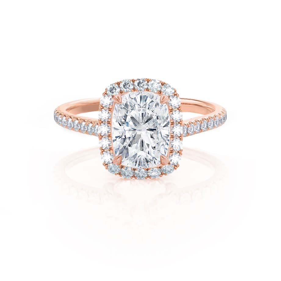 LAW275