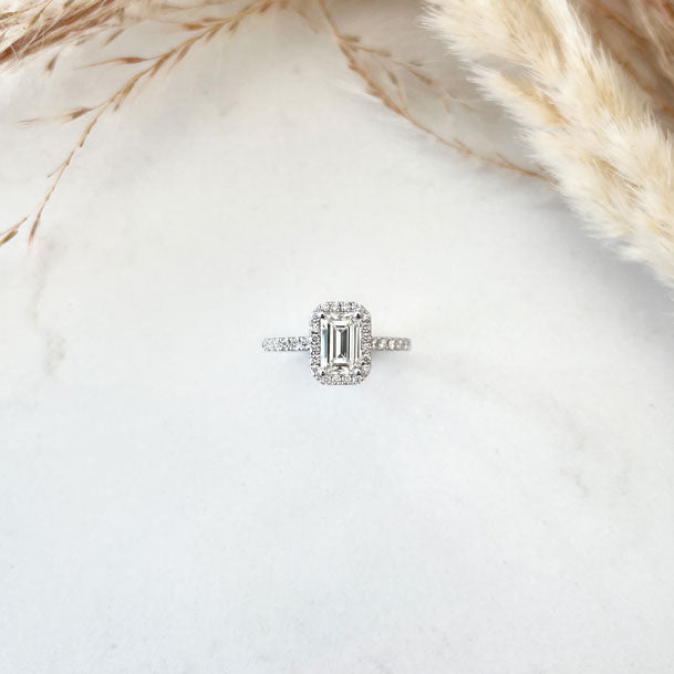 BD009