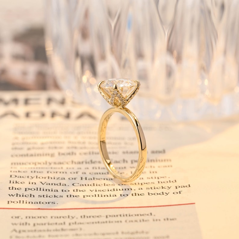 GLJ18